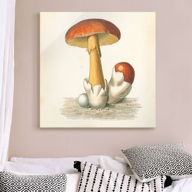 Wandbilder Vintage Französische Pilze