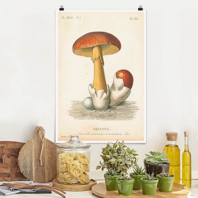 Küche Dekoration Französische Pilze