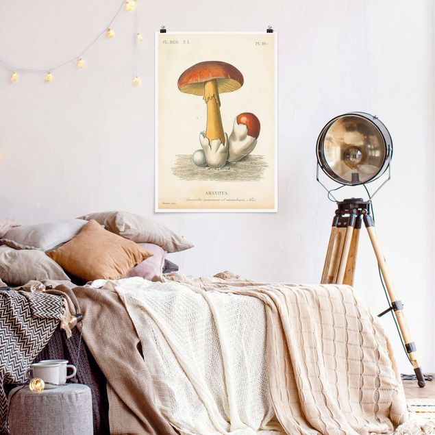 Poster Vintage Französische Pilze