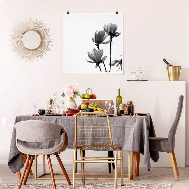 Poster Blumen Frühlingsbote Magnolie Schwarz Weiß