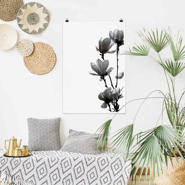 Poster mit Blumen Frühlingsbote Magnolie Schwarz Weiß