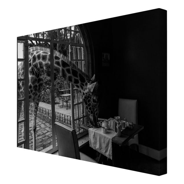 schwarz-weiß Bilder auf Leinwand Frühstück mit Giraffe