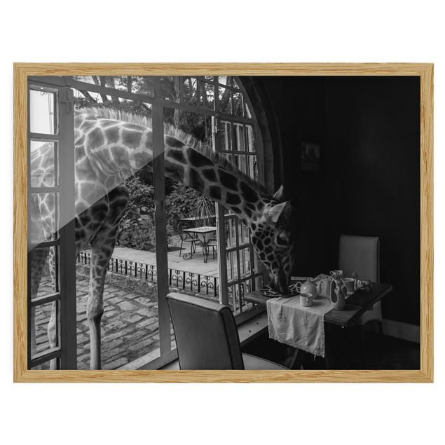 schwarz-weiß Bilder gerahmt Frühstück mit Giraffe