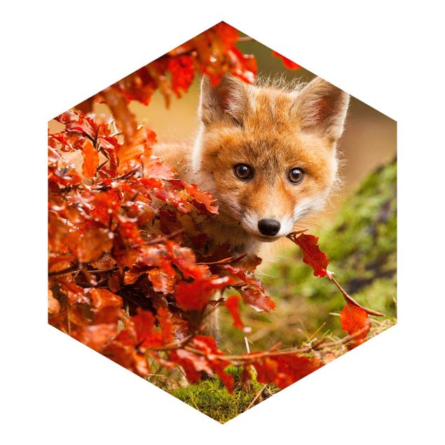 Fototapete Fuchs im Herbst