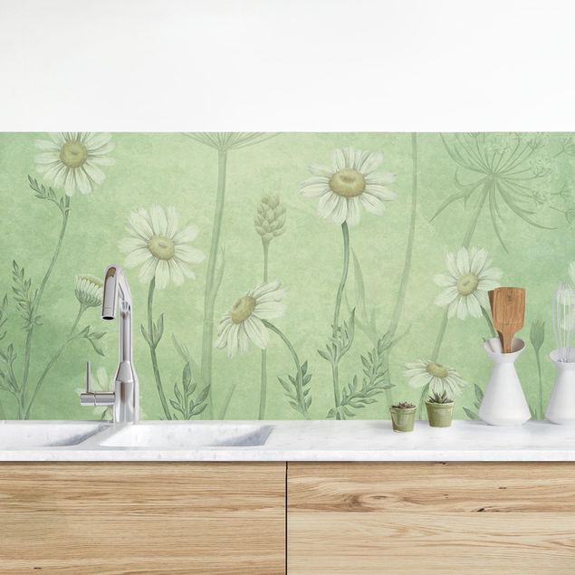 Wanddeko Küche Gänseblümchen im grünen Nebel