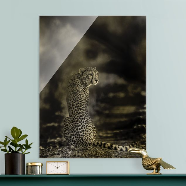 Glasbilder Schwarz-Weiß Gepard in der Wildness