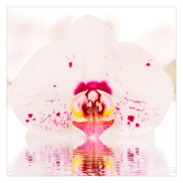 Fototapete - Gepunktete Orchidee auf Wasser
