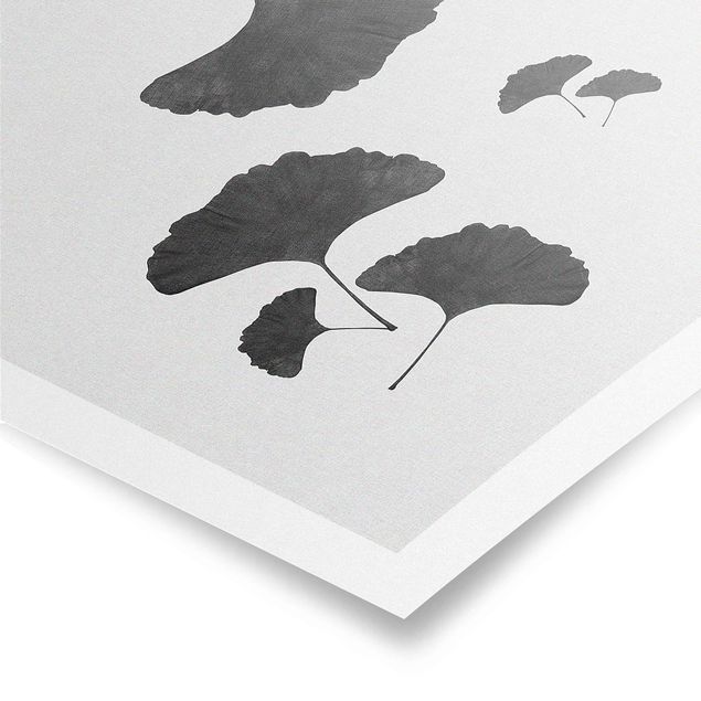 Wandbilder Schwarz-Weiß Ginkgo Komposition in Schwarz-Weiß