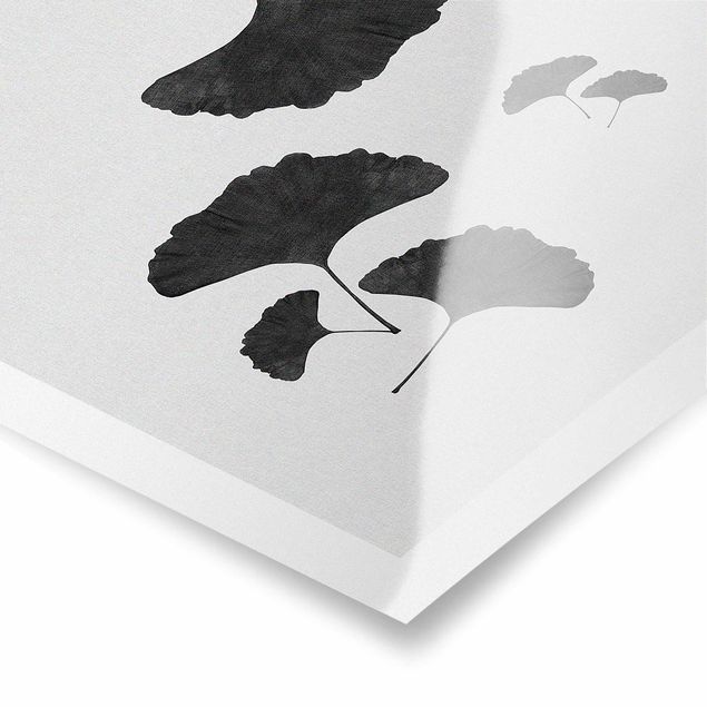 Wandbilder Ginkgo Komposition in Schwarz-Weiß
