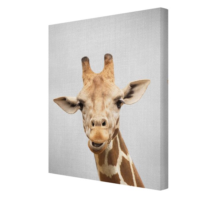 Wandbilder Afrika Giraffe Gundel