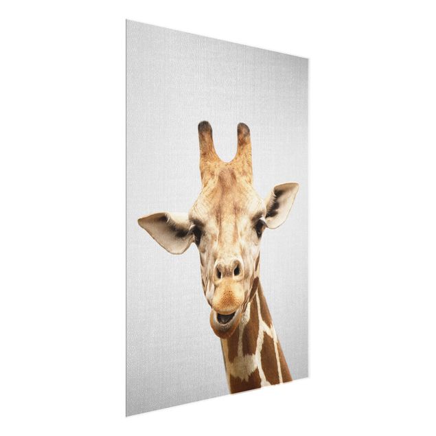Glasbilder Tiere Giraffe Gundel