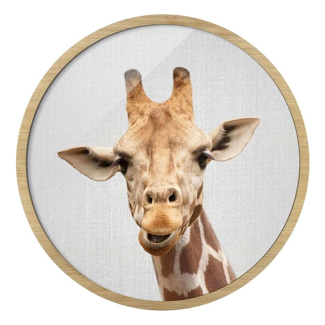 Gerahmte Bilder Tiere Giraffe Gundel