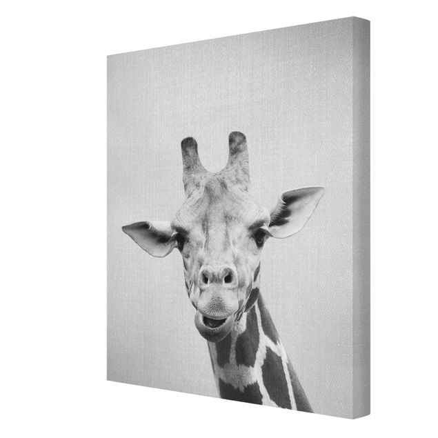 Wandbilder Afrika Giraffe Gundel Schwarz Weiß