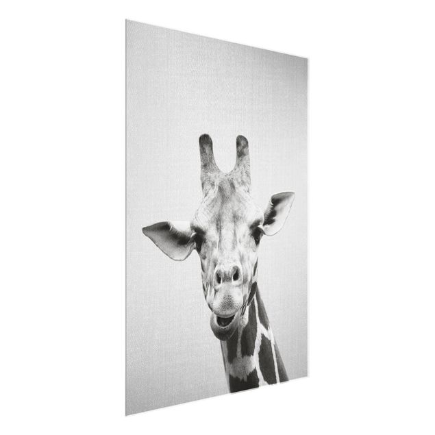 Glasbilder Tiere Giraffe Gundel Schwarz Weiß