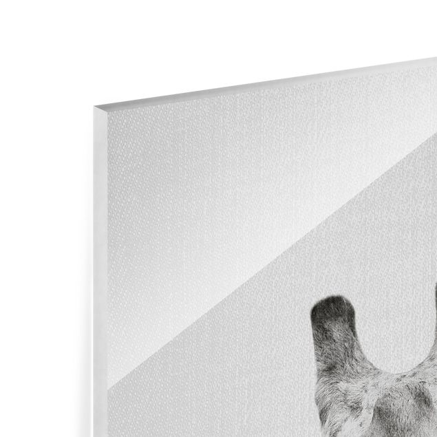Gal Design Kunstdrucke Giraffe Gundel Schwarz Weiß