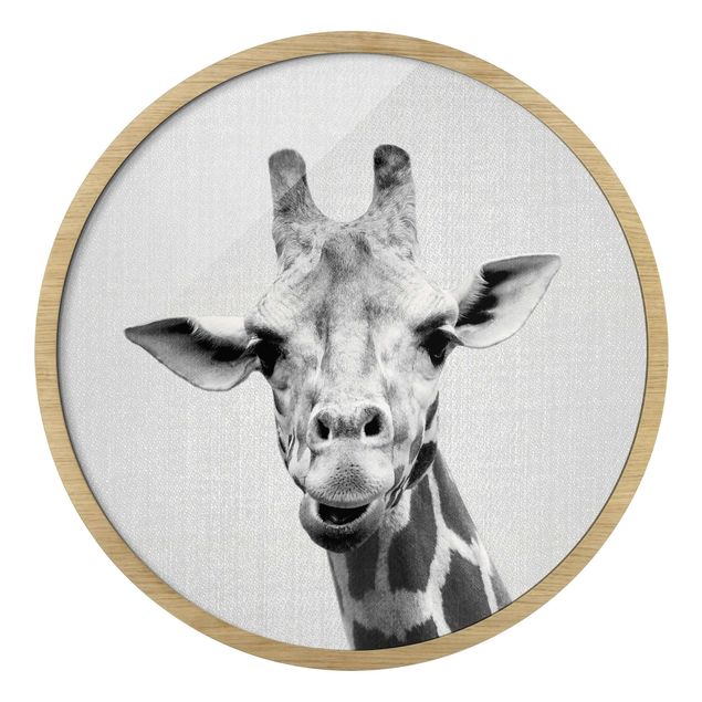 Tierbilder mit Rahmen Giraffe Gundel Schwarz Weiß