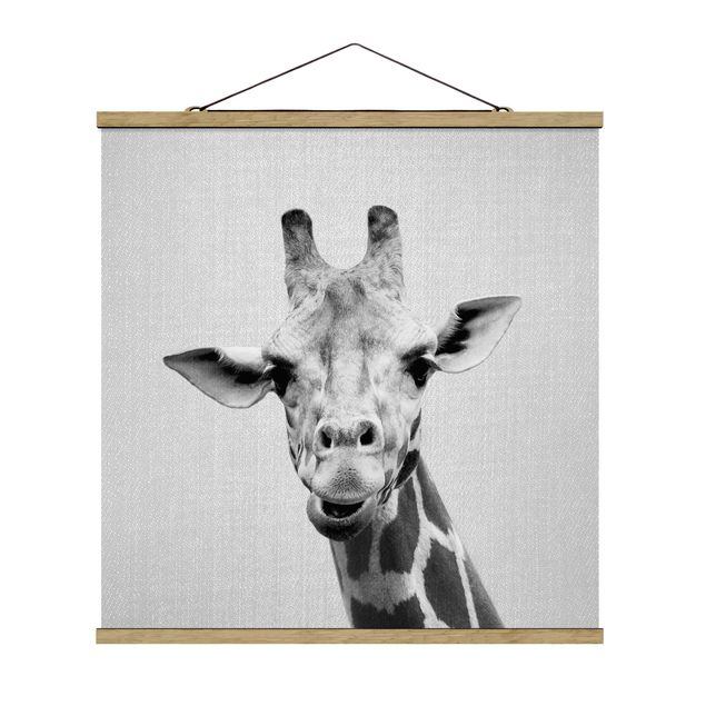 Tiere Poster Giraffe Gundel Schwarz Weiß