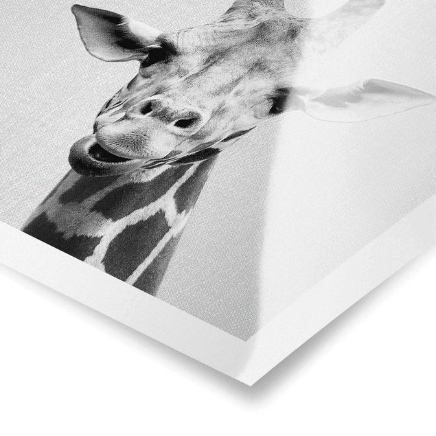 Wandbilder Schwarz-Weiß Giraffe Gundel Schwarz Weiß