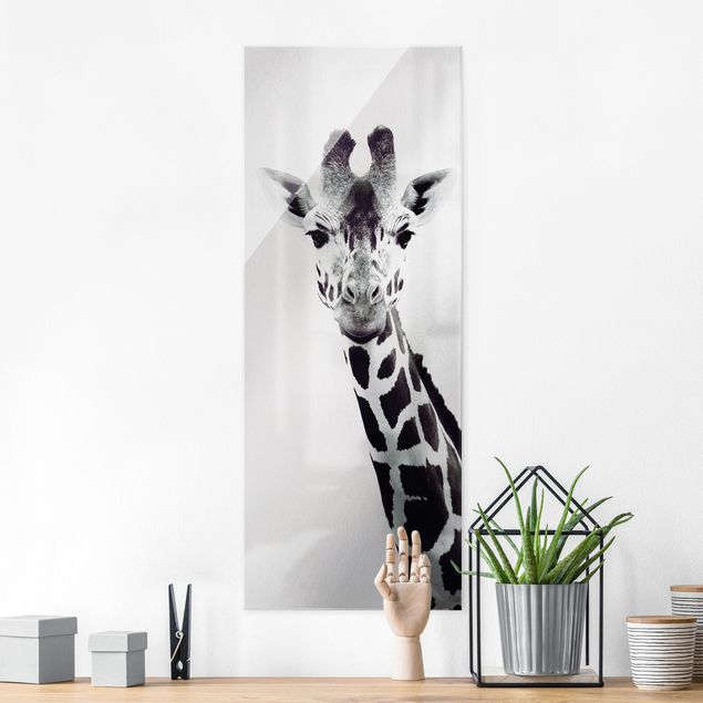 Küche Dekoration Giraffen Portrait in Schwarz-weiß