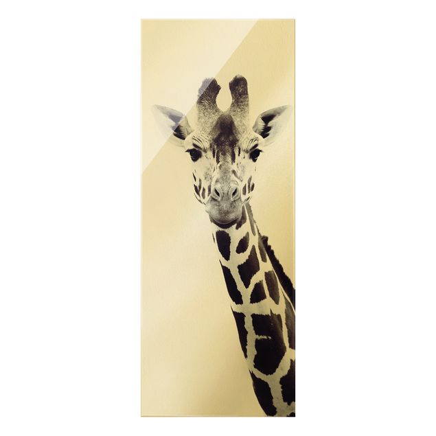 Wandbilder Modern Giraffen Portrait in Schwarz-weiß