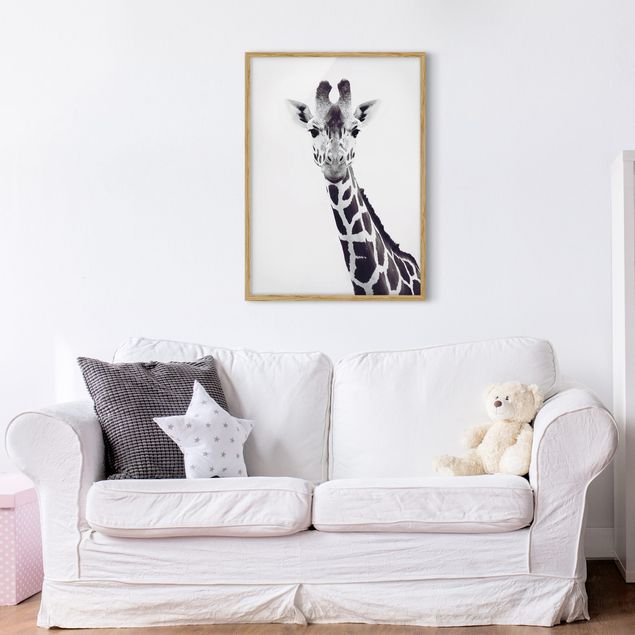 gerahmte Bilder schwarz-weiß Giraffen Portrait in Schwarz-weiß