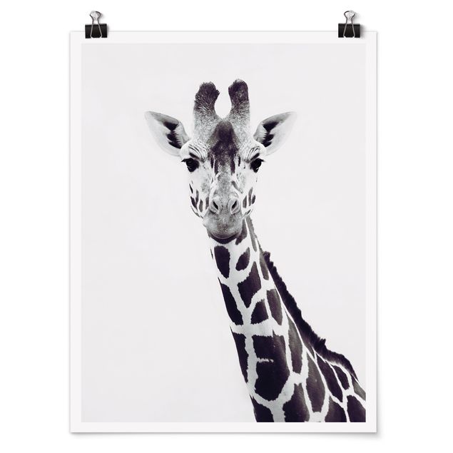 Tiere Poster Giraffen Portrait in Schwarz-weiß