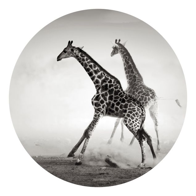 Fototapeten Wüsten Giraffenjagd