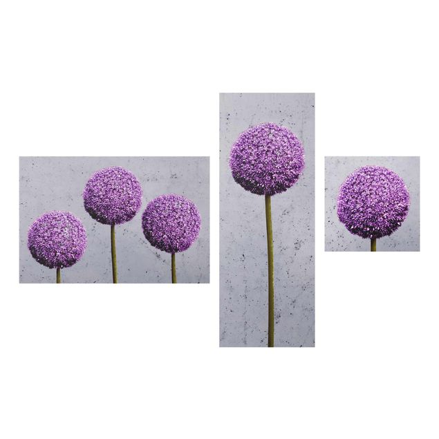 Wandbilder Blumen Allium Kugel-Blüten