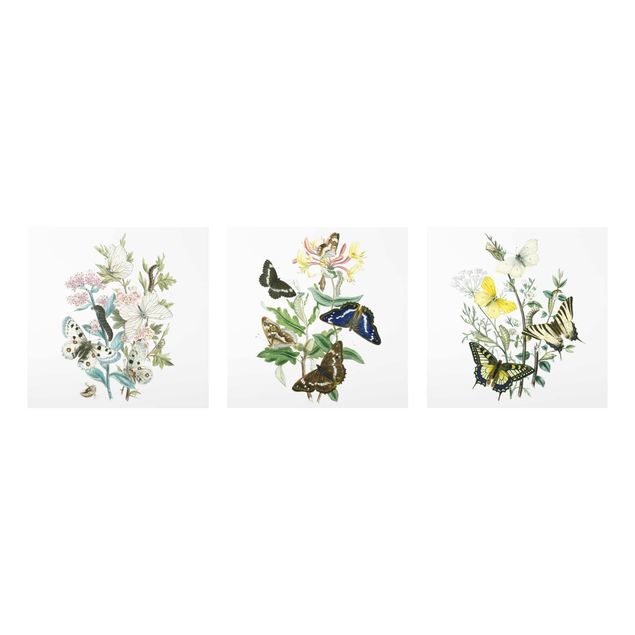 Wandbilder Floral Britische Schmetterlinge Set I