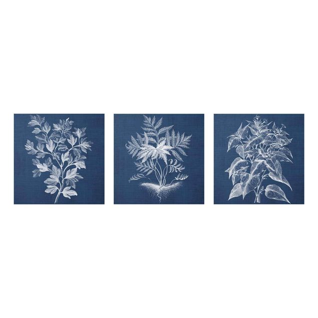 Wandbilder Blumen Denim Pflanzenstudie Set I