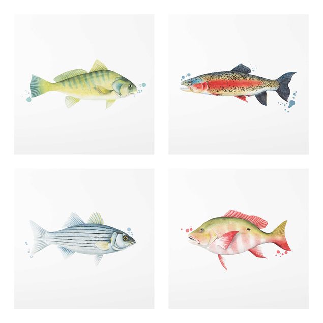 Wandbilder Modern Farbfang - Fische Set I