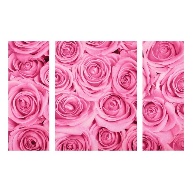Wandbilder Floral Rosa Rosen