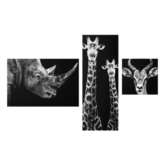 Wandbilder Modern Safari Trilogie I