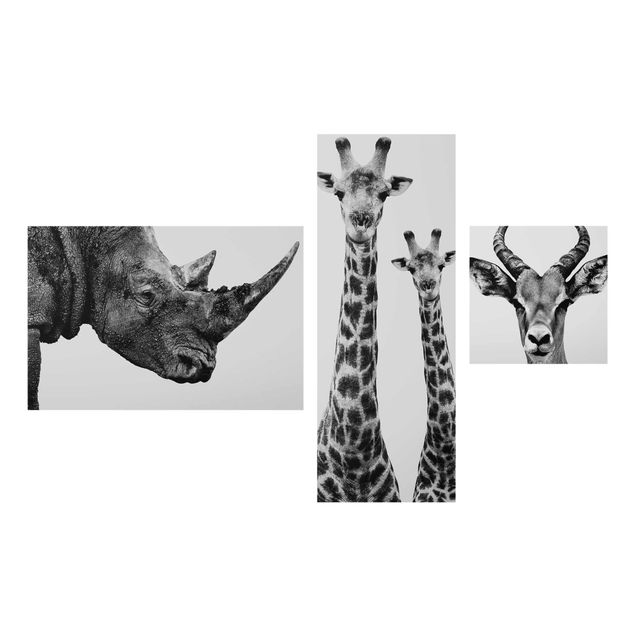 Wandbilder Modern Safari Trilogie II