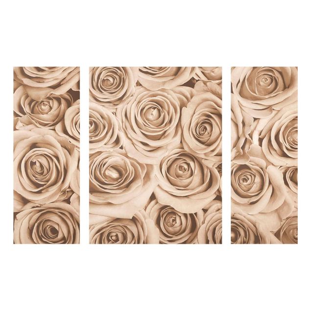 Wandbilder Floral Vintage Rosen