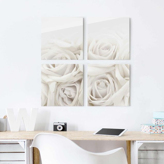 Glasbilder Rose Weiße Rosen