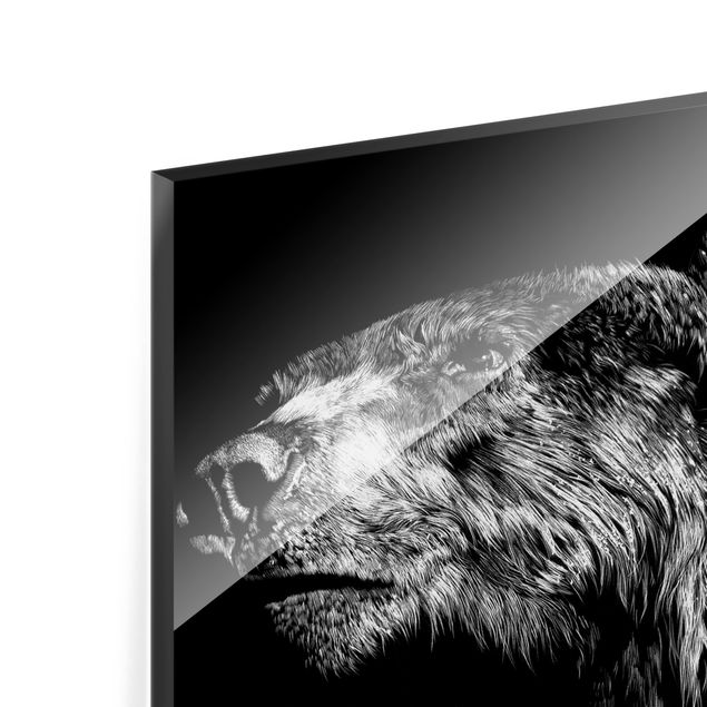 Glasbilder Tiere Wildtiere vor Schwarz Set I