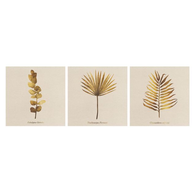 Leinwandbilder Gold - Tropische Blätter Set I
