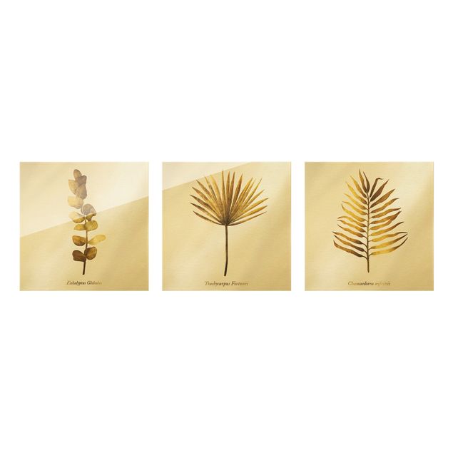 Glas Wandbilder Gold - Tropische Blätter Set I