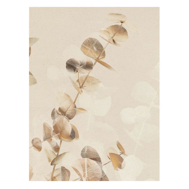 Bilder Goldene Eukalyptuszweige mit Weiß I
