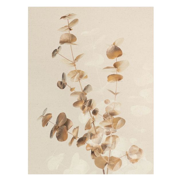 schöne Bilder Goldene Eukalyptuszweige mit Weiß