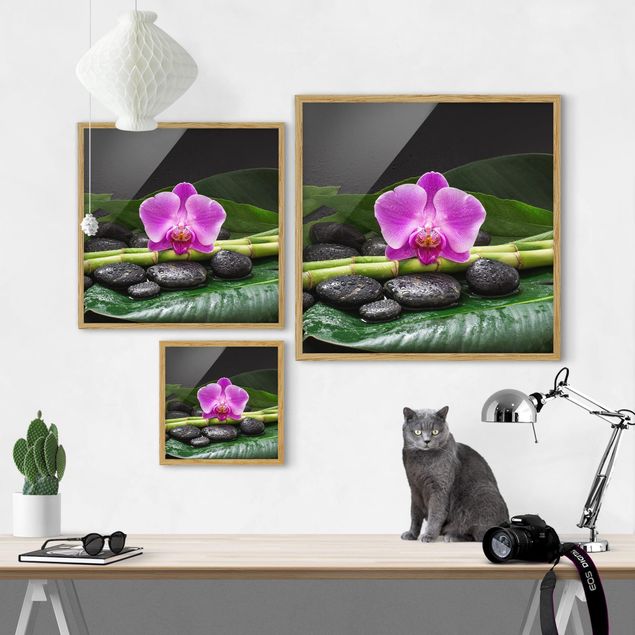 Wandbilder Blumen Grüner Bambus mit Orchideenblüte