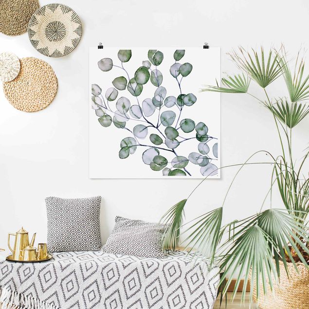 Poster mit Blumen Grünes Aquarell Eukalyptuszweig