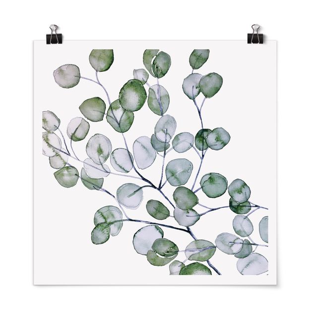 Wandbilder Blumen Grünes Aquarell Eukalyptuszweig