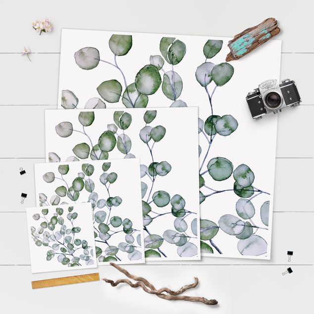 Poster kaufen Grünes Aquarell Eukalyptuszweig