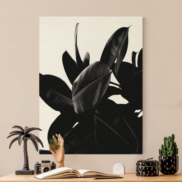 Leinwandbilder schwarz-weiß Gummibaum Blätter Schwarz Weiß