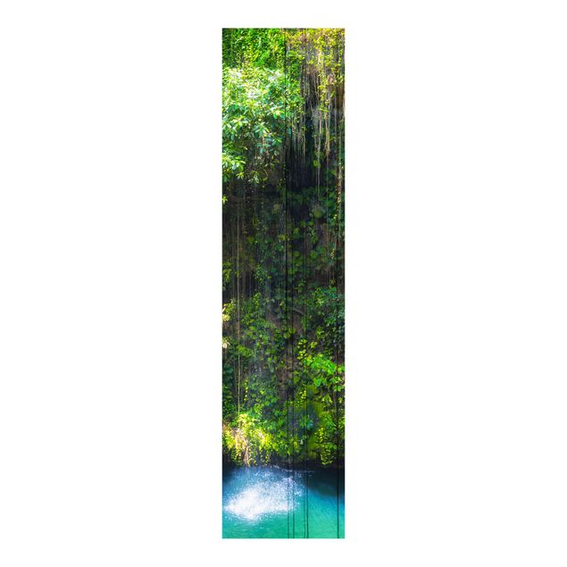 Flächenvorhang Wald Hängende Wurzeln von Ik-Kil Cenote