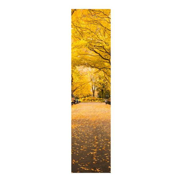 Schiebevorhang Skyline Herbst im Central Park