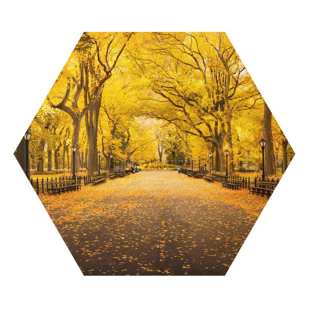 Wandbilder Orange Herbst im Central Park