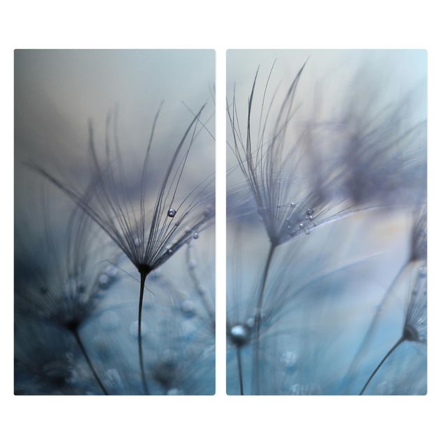 Herdabdeckplatte Glas - Blaue Federn im Regen - 52x60cm